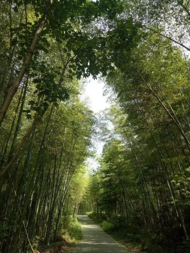 都江堰仙女湖在哪里(都江堰仙女湖景区)