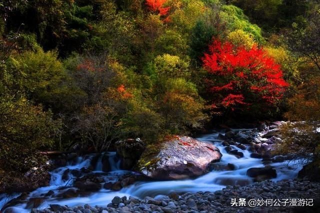 孟屯河谷在哪里(孟屯河谷在哪里距离德阳有多少公里)