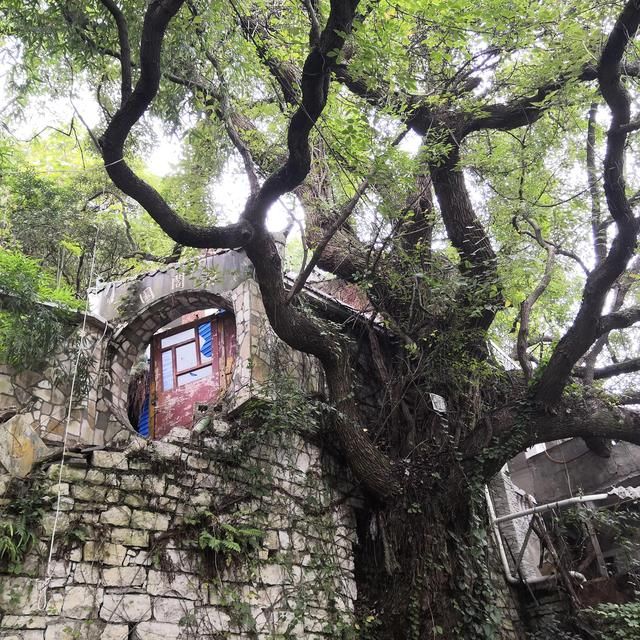 黄金大道在哪(黄金大道寓意)