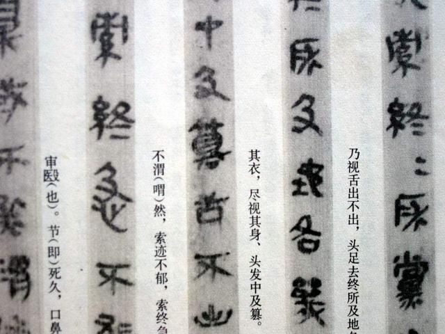 食梦在哪里(誓盟在线看)