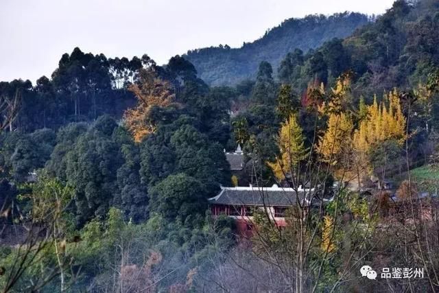 成都丹景山在哪里(成都丹景山旅游攻略)