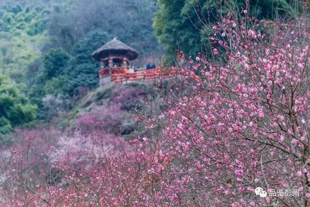 成都丹景山在哪里(成都丹景山旅游攻略)