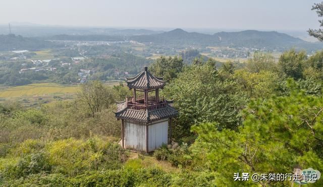 文山在哪里(文山在哪里收砂仁)