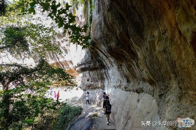 文山在哪里(文山在哪里收砂仁)