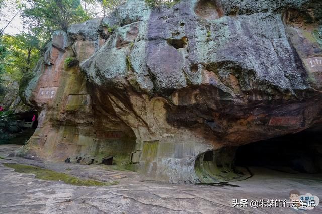 文山在哪里(文山在哪里收砂仁)