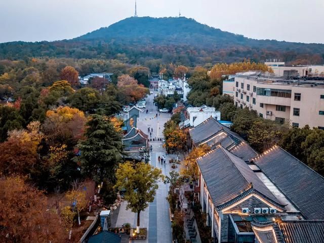 日本京港在哪(日本静冈大学)