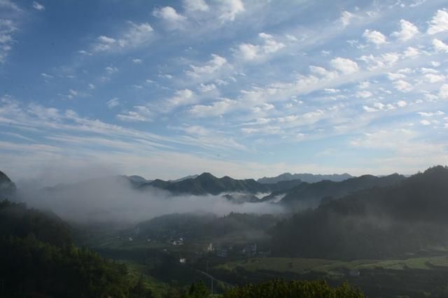 家朋在哪(加蓬在哪)