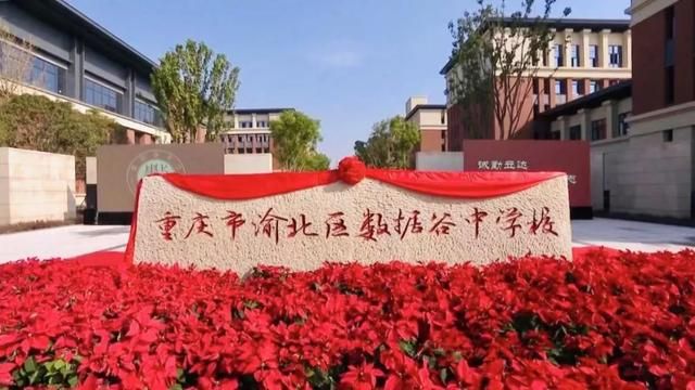 重庆一三八初中学区房新楼盘(重庆一三八初中学区房有哪些)