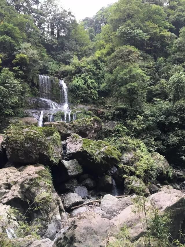 海棠峪在哪(海棠苑)