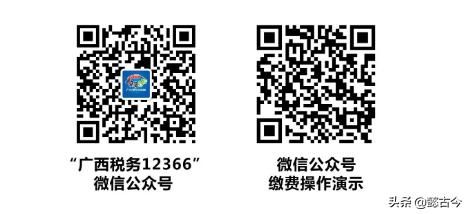 广西税务12366app(广西税务12366app官方下载)