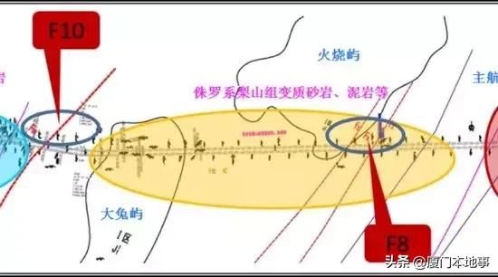 海沧大道站在哪个位置(海沧大道属于哪个街道)