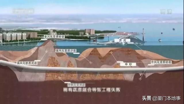 海沧大道站在哪个位置(海沧大道属于哪个街道)