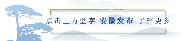 安徽省政务网官方网(宁夏政务网官方网)