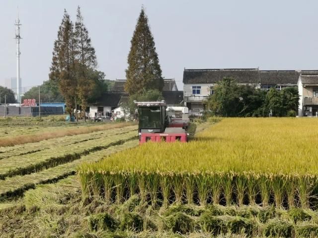 上海的无人超市在哪里(上海无人售货超市)