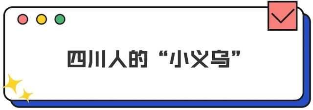 荷花池卖衣服在哪个区(荷花池卖儿童衣服在哪里)