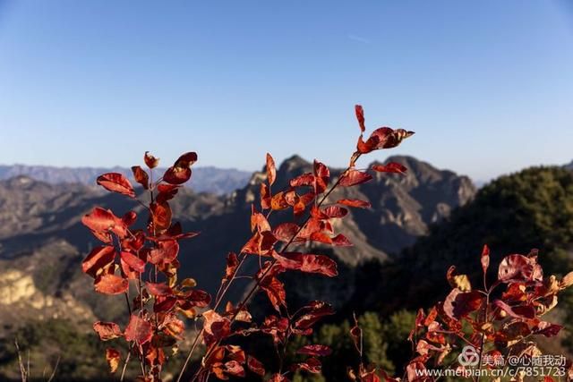 黄柏坨风景区在哪(黄柏坨风景区在哪里)