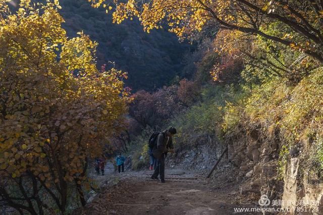 黄柏坨风景区在哪(黄柏坨风景区在哪里)