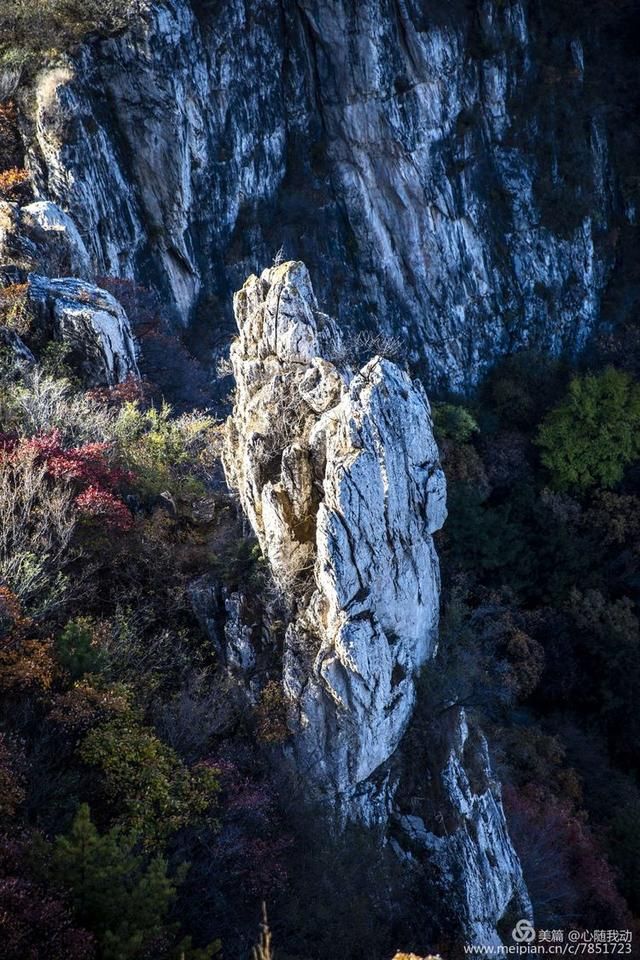 黄柏坨风景区在哪(黄柏坨风景区在哪里)