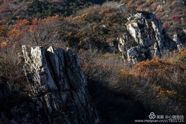 黄柏坨风景区在哪(黄柏坨风景区在哪里)