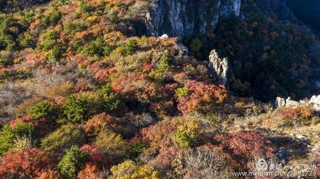 黄柏坨风景区在哪(黄柏坨风景区在哪里)