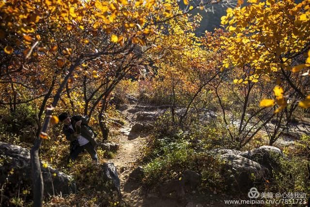 黄柏坨风景区在哪(黄柏坨风景区在哪里)