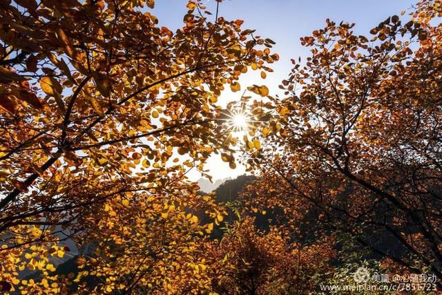 黄柏坨风景区在哪(黄柏坨风景区在哪里)