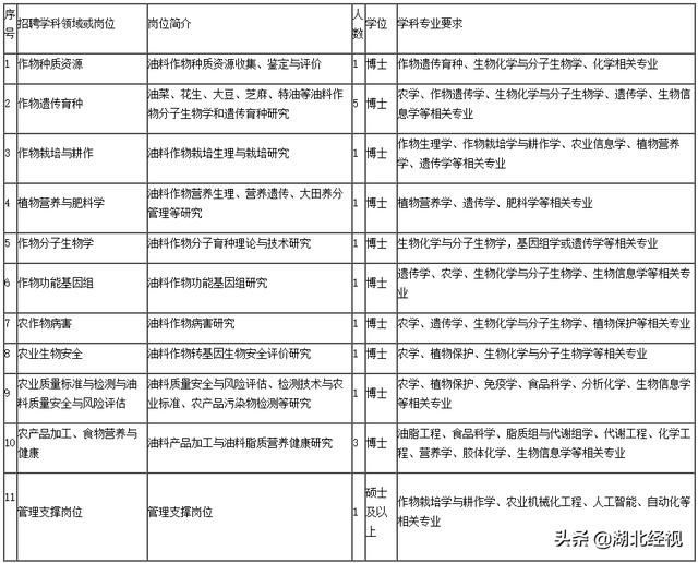 重庆工作网招聘信息(重庆夜班工作招聘)