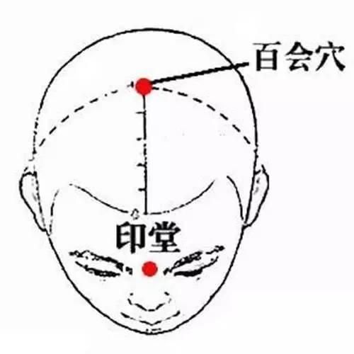 百合穴在哪(百会穴在哪里)