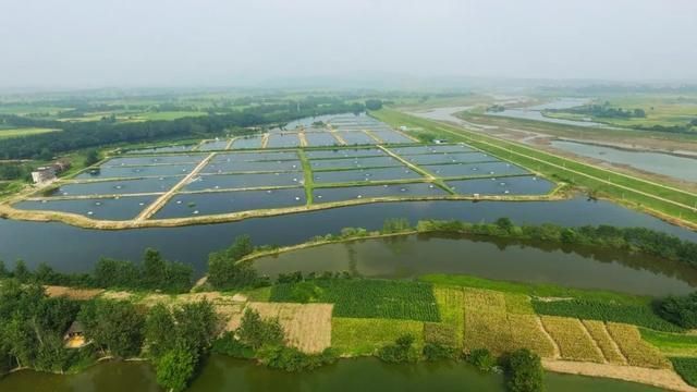 南洞庭湖在哪里(南洞庭湖国家湿地)