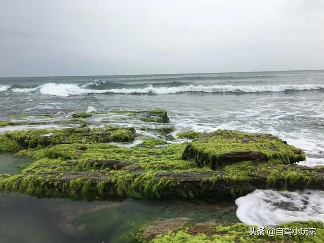 赶海在哪里(大庆赶海在哪里)