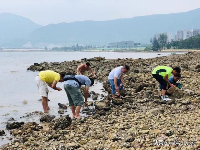 赶海在哪里(大庆赶海在哪里)