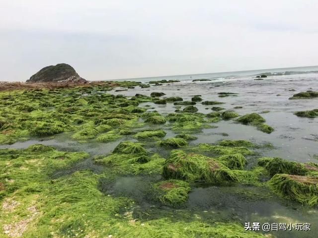 赶海在哪里(大庆赶海在哪里)