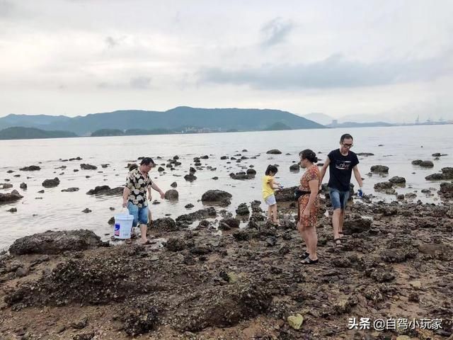 赶海在哪里(大庆赶海在哪里)