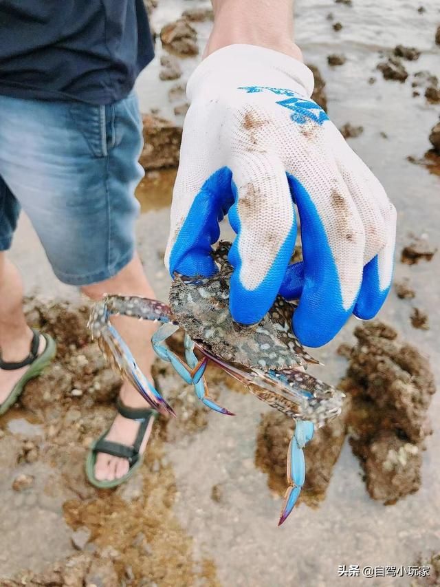 赶海在哪里(大庆赶海在哪里)