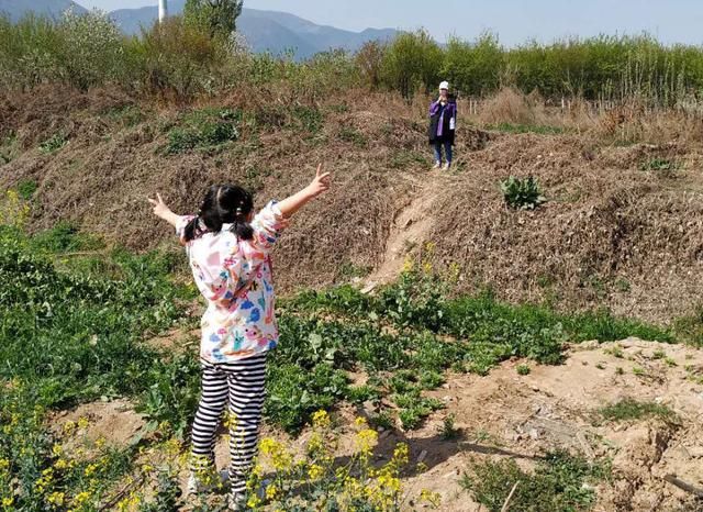 白鹿原草莓基地在哪(白鹿原草莓采摘园价格)