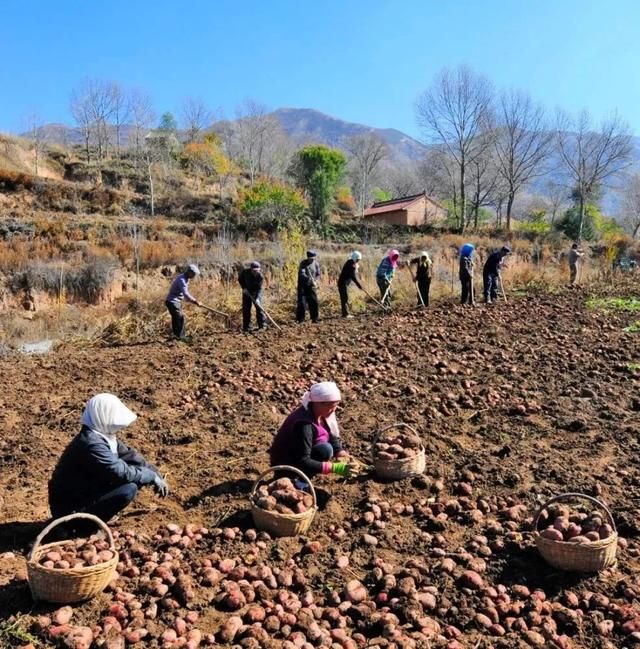 天阴在哪(轩辕传奇连天阴在哪)