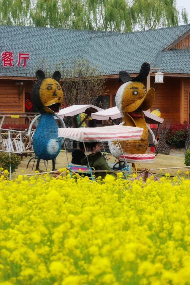 泰山花海在哪(泰山花海景区)