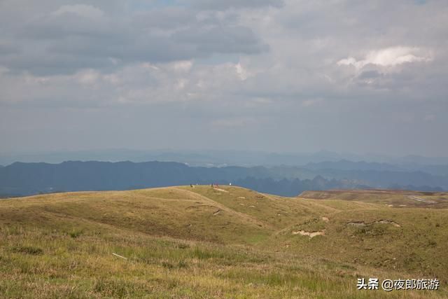 阿西里西大草原在哪里(阿西里西大草原景区)