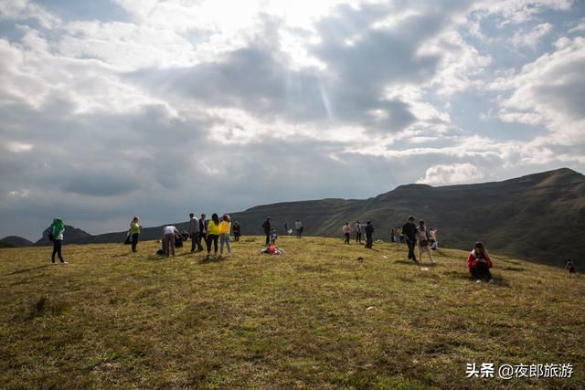 阿西里西大草原在哪里(阿西里西大草原景区)