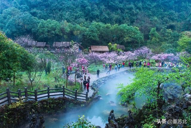 重庆酉阳在哪里(重庆酉阳在线)