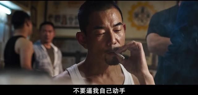 树大招风在哪里可以看(树大招风在哪里看得到)