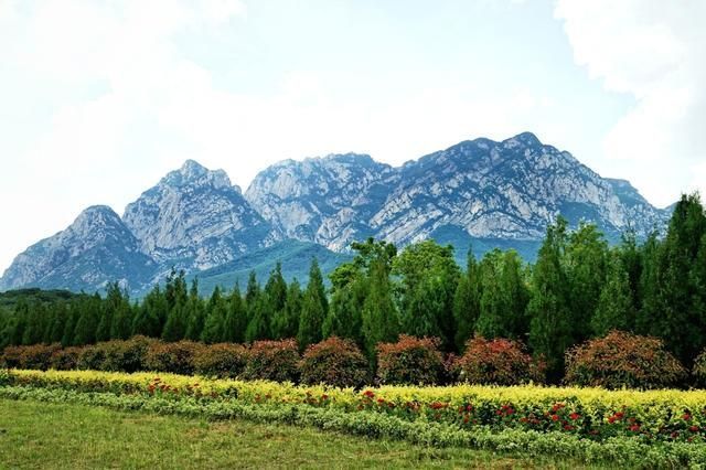 太石山在哪里(阳石山在哪里)