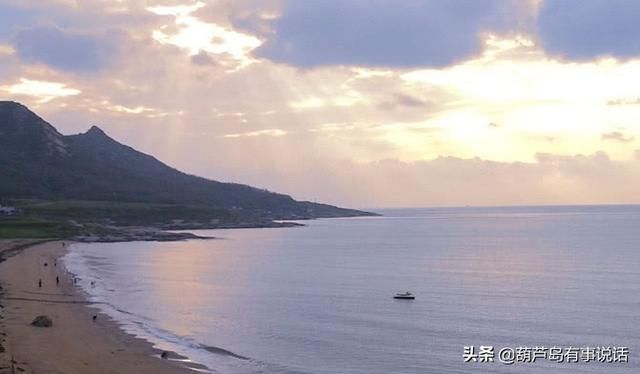 菊花岛在哪(菊花岛精神)