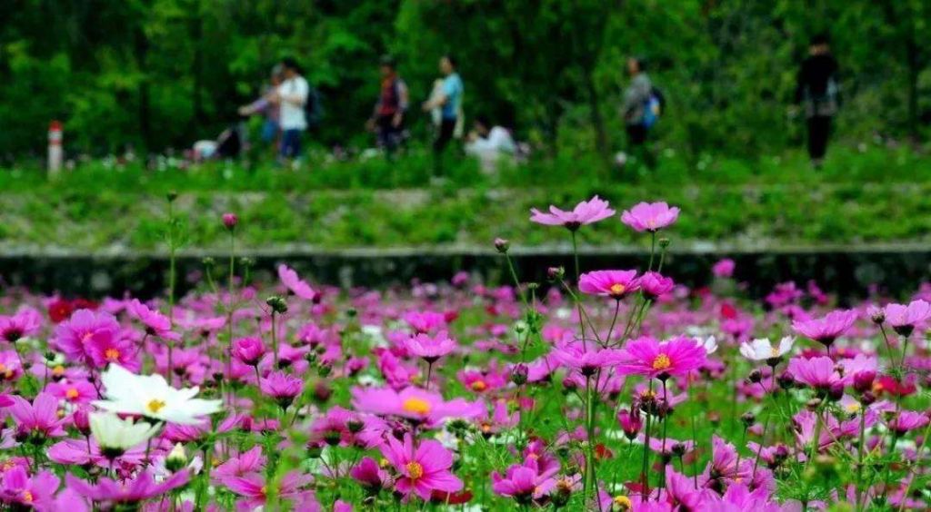 广东花都在哪里(广东花都职业技术学院)