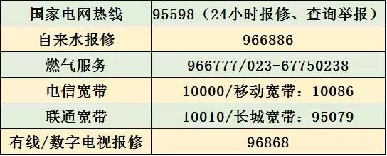 重庆的号码(重庆的豪宅有哪些)