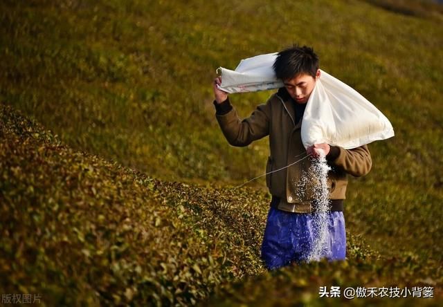 氮肥存在哪里(氮肥来自哪里)