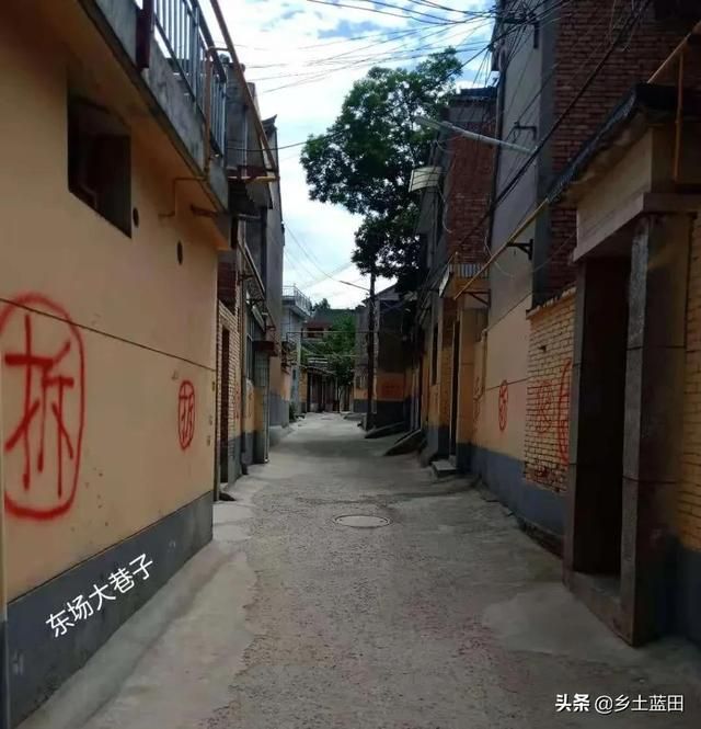 东场村在哪(泰兴市东场村)