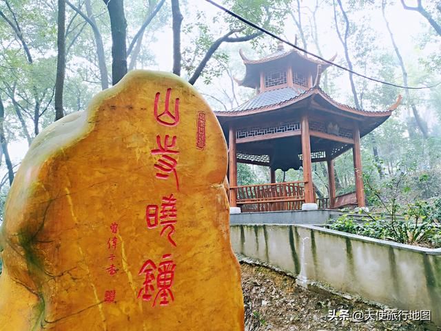 邵阳动物园在哪里(邵阳动物园)