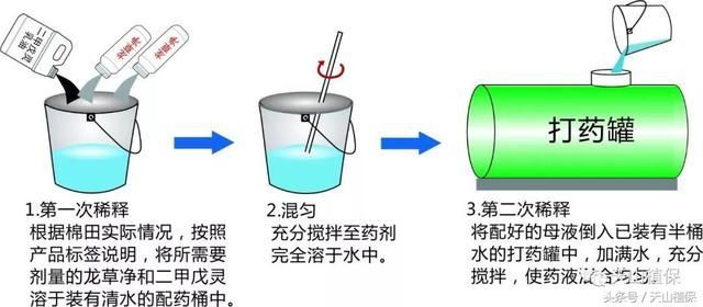 包含叶龙草在哪里的词条