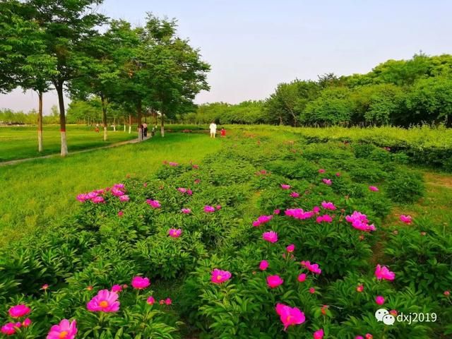 渭水湖在哪(尾水回用)